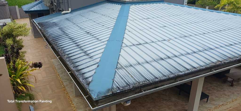 Roof painting project
